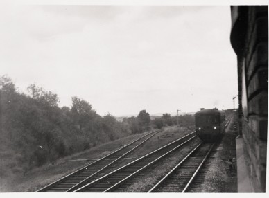 Orgeo (AR).jpg